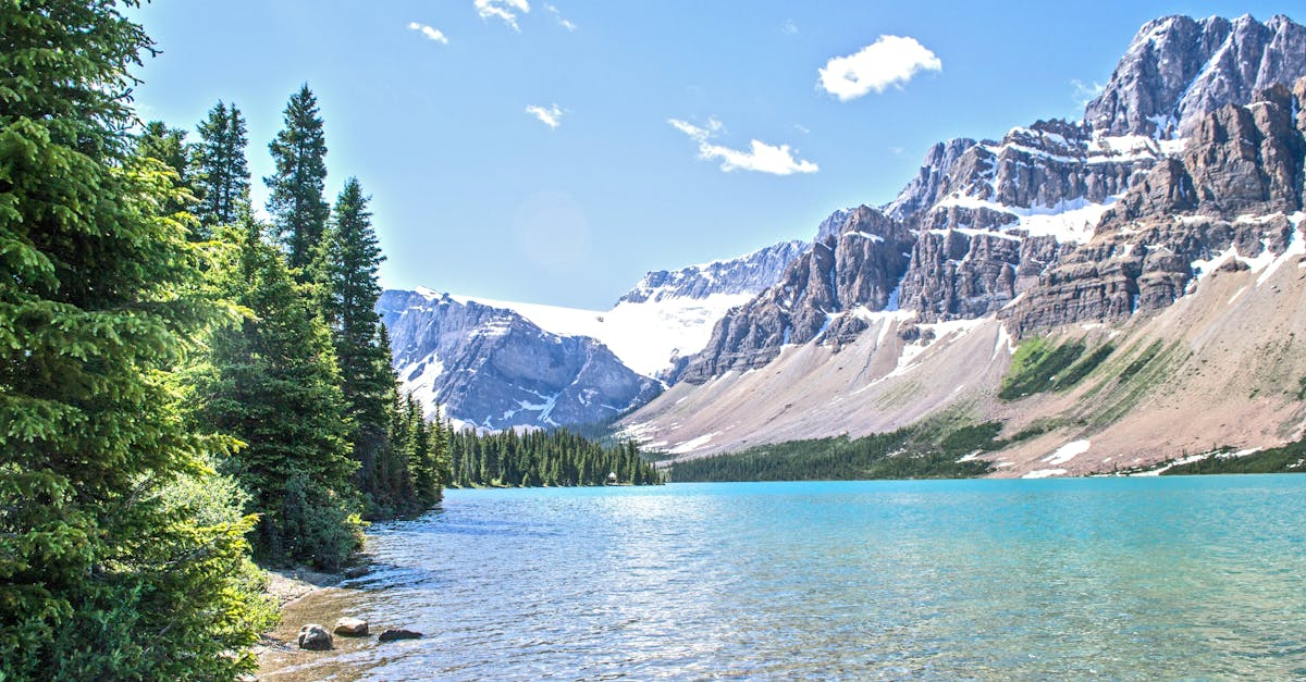 découvrez notre guide ultime sur les destinations incontournables à travers le monde. que vous soyez en quête de paysages époustouflants, de cultures fascinantes ou d'expériences uniques, nos conseils vous aideront à planifier votre prochaine aventure. explorez, rêvez et partez à l'aventure avec nous!