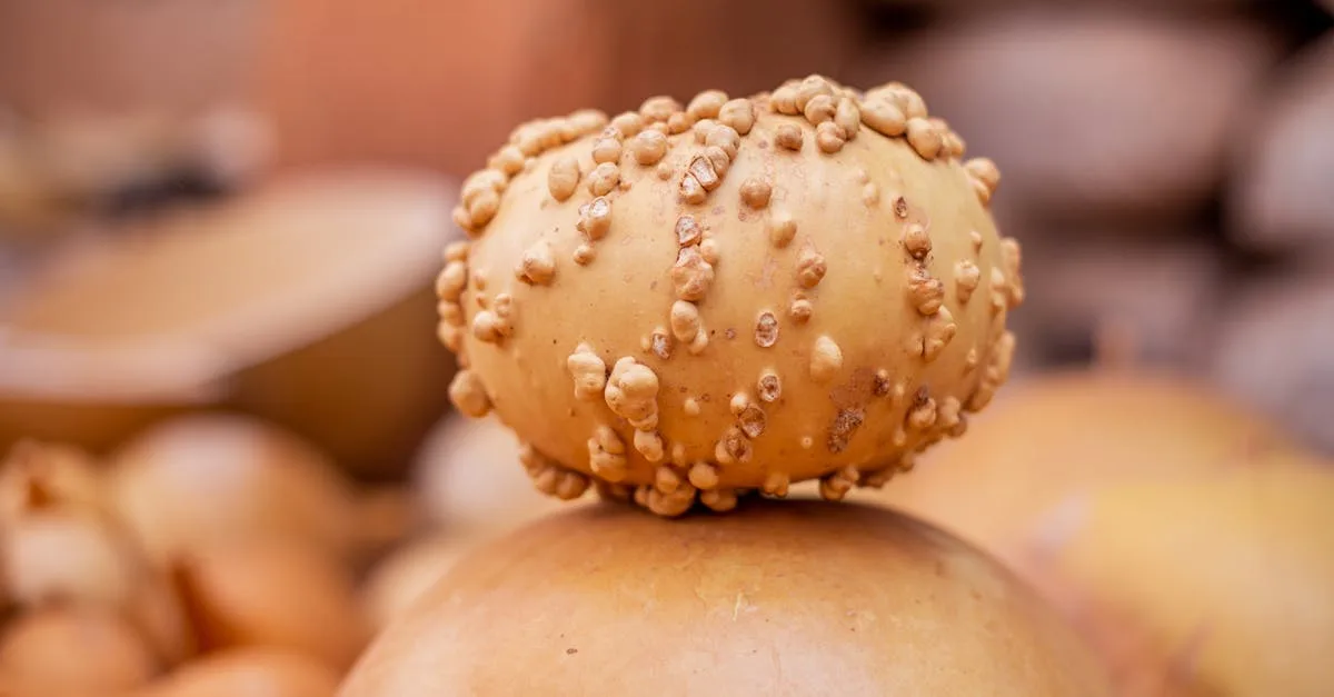 découvrez les étapes clés et les implications juridiques liées à la résiliation d'un bail agricole. informez-vous sur vos droits et obligations pour une transition sereine dans le domaine rural.