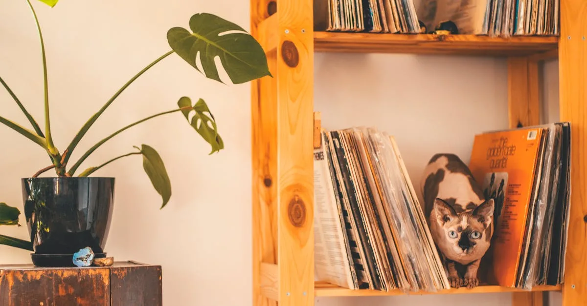 découvrez comment installer une étagère murale facilement grâce à nos conseils pratiques et astuces étape par étape. idéal pour gagner de l'espace et décorer votre intérieur.