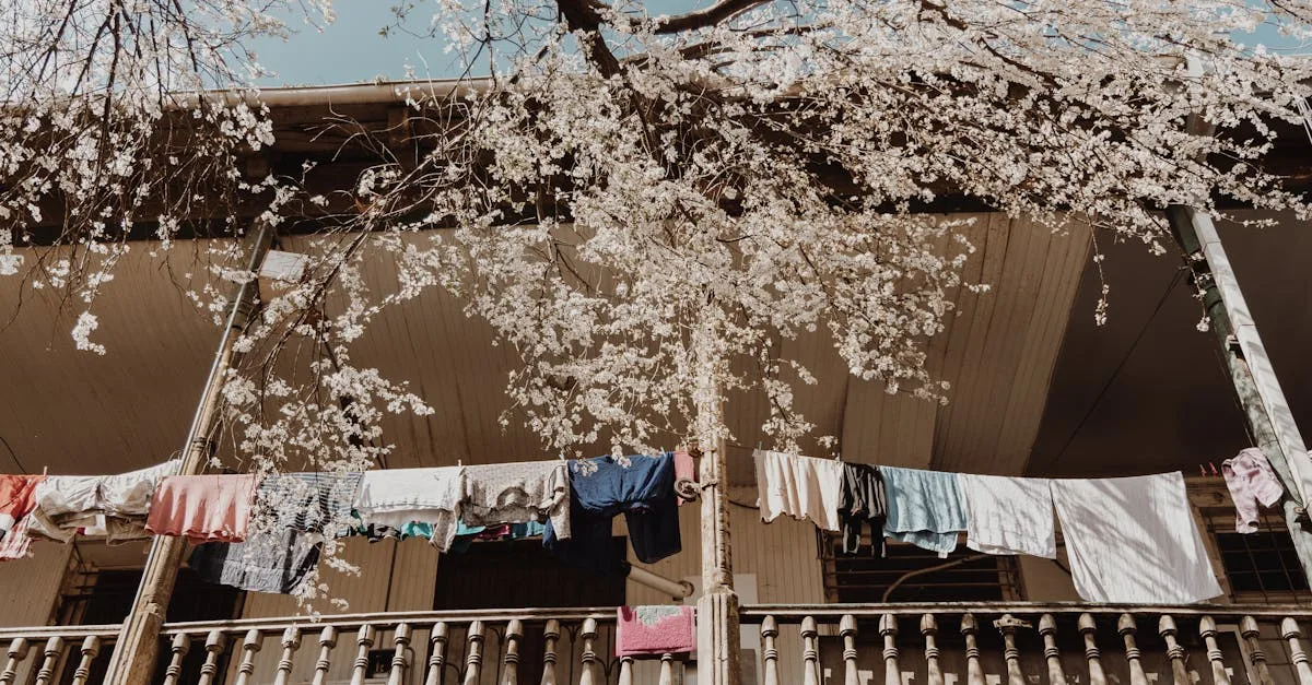 découvrez nos conseils et astuces pour le jardinage sur balcon : idées d’aménagement, choix de plantes adaptées, entretien facile et inspiration pour créer un espace vert même en milieu urbain.