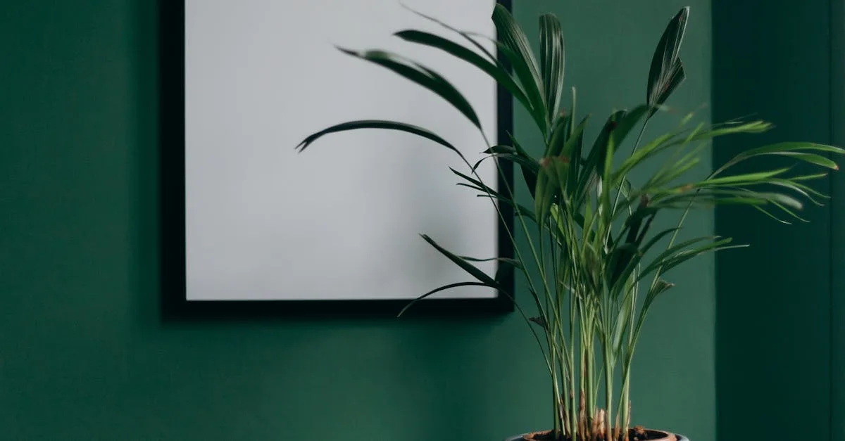 convertissez facilement des hectares en mètres carrés avec notre outil précis. obtenez des résultats rapides pour vos besoins en mesures de surface.