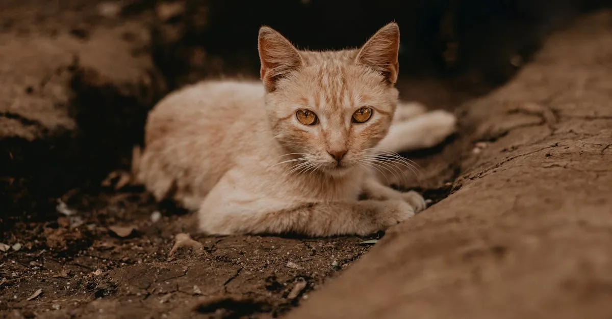 découvrez un mode de vie naturel alliant bien-être, alimentation saine et connexion à la nature pour une vie équilibrée et harmonieuse.