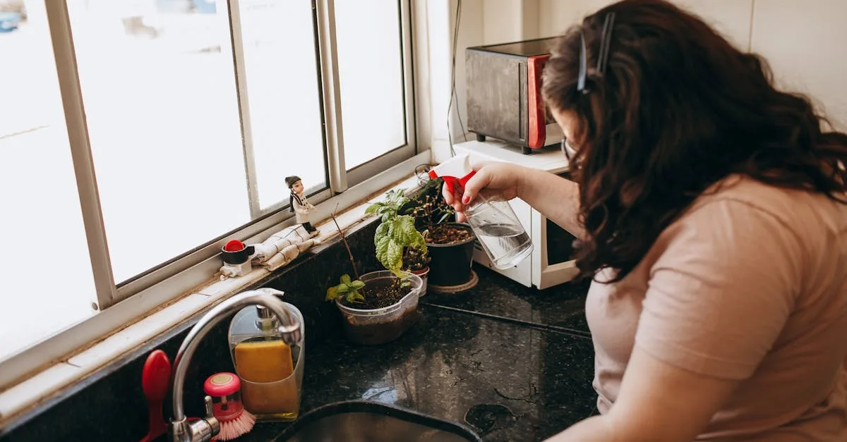 découvrez notre sélection de plantes favorables aux pollinisateurs pour attirer abeilles, papillons et autres insectes bénéfiques dans votre jardin.