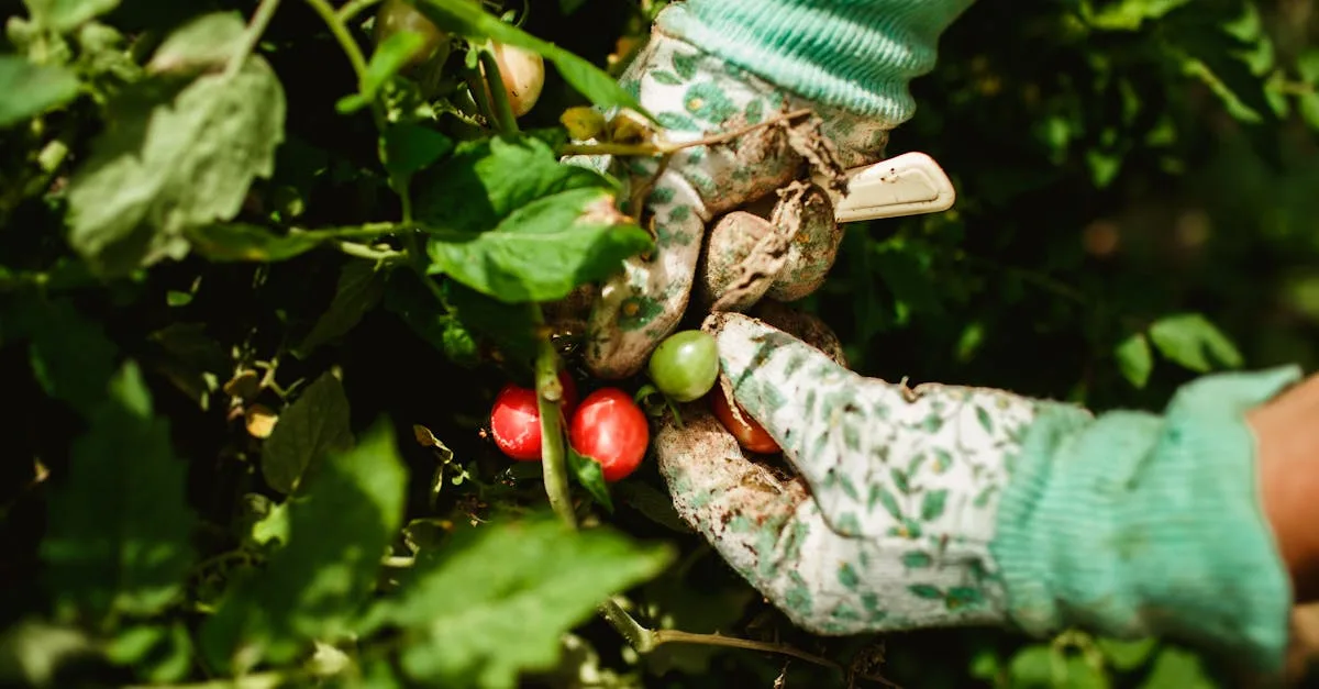 découvrez notre sélection de plantes favorables aux pollinisateurs pour soutenir la biodiversité et embellir votre jardin.