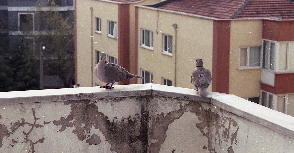 découvrez les droits et obligations courants liés aux toits, essentiels pour comprendre les responsabilités des propriétaires et copropriétaires.