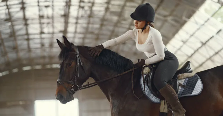 découvrez tout l'univers équestre : chevaux, équipements, techniques d'équitation et conseils pour passionnés et débutants.