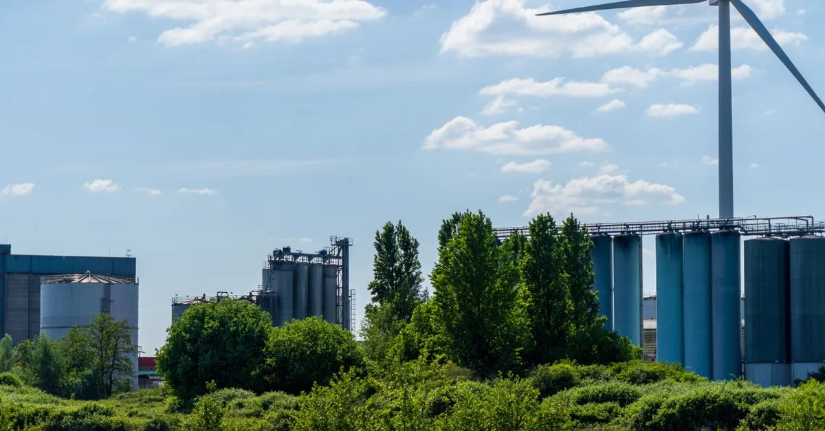 découvrez les réglementations environnementales essentielles pour protéger notre planète et assurer un développement durable.