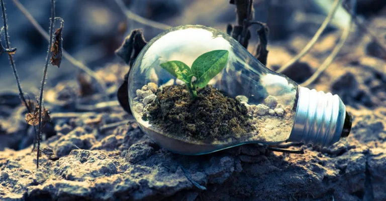 découvrez les réglementations environnementales essentielles pour protéger notre planète et assurer un développement durable.