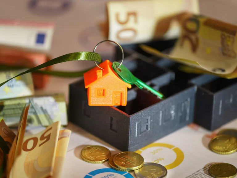 investissement locatif à vileubanne