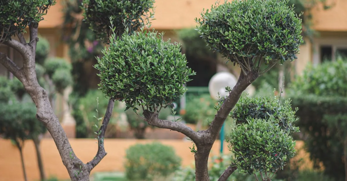 apprenez les techniques essentielles de la taille des plantes pour favoriser leur croissance, améliorer leur santé et embellir votre jardin.